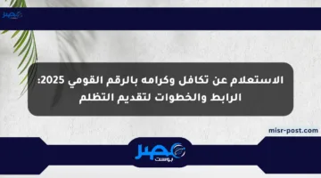 الاستعلام عن تكافل وكرامة بالرقم القومي 2025: الرابط والخطوات لتقديم التظلم